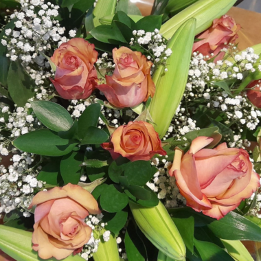 Roses