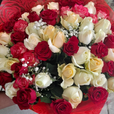 Mixed Roses