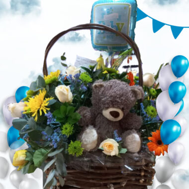 Baby Boy Present Basket (Smallest)
