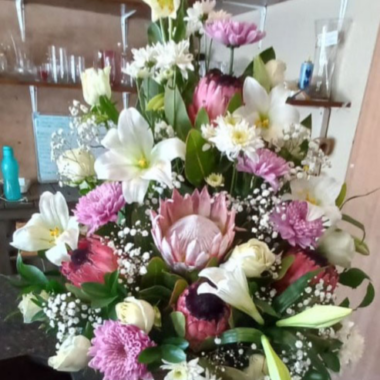 Upright Protea