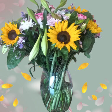 Sunflower mix
