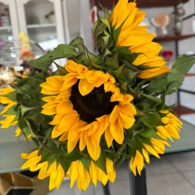 Sunflower Single